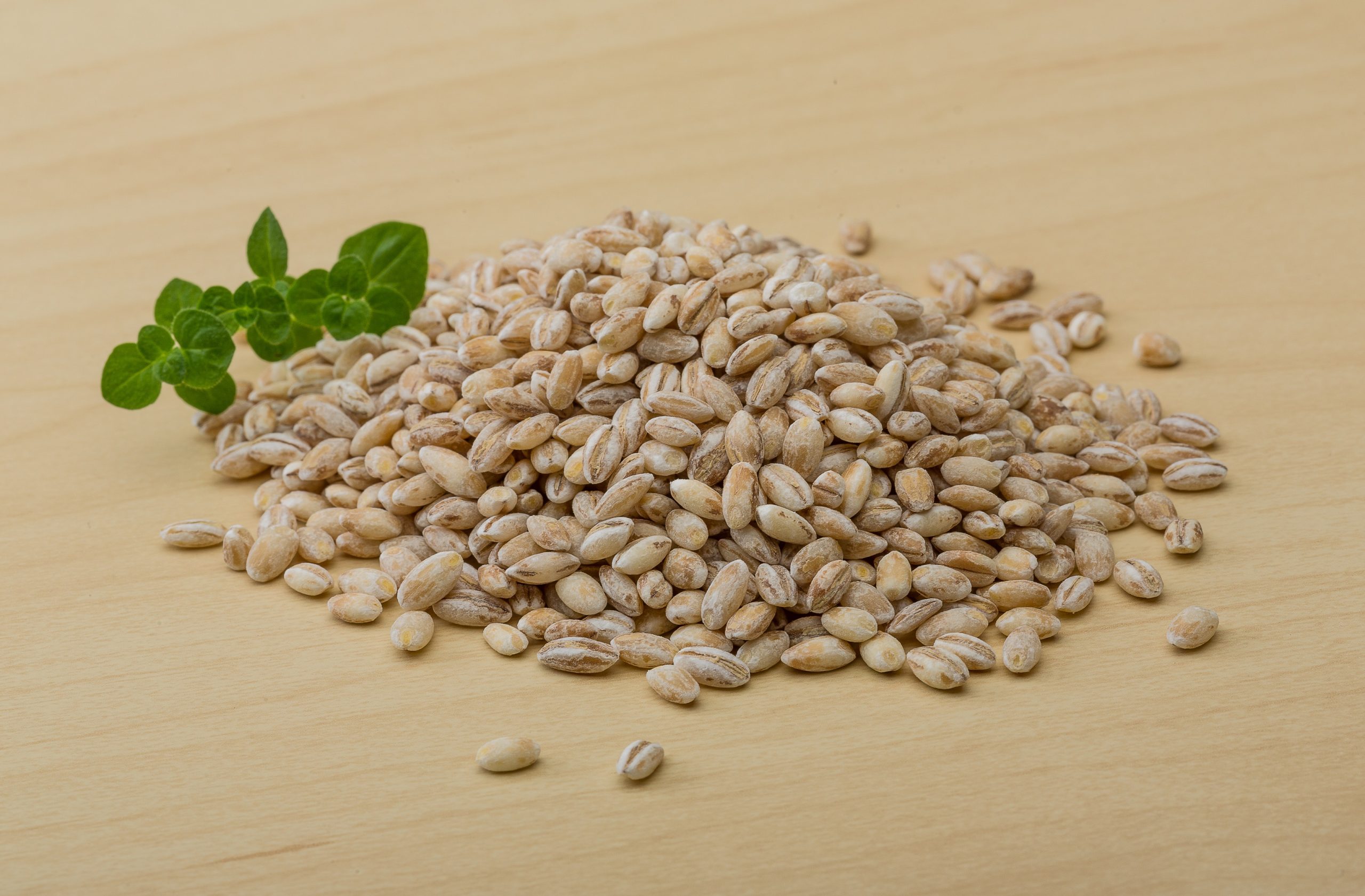Barley